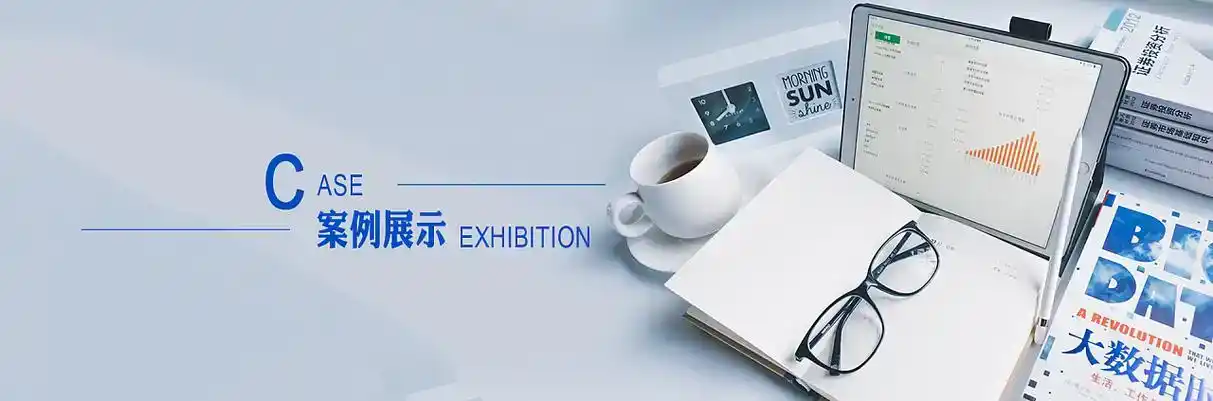 芷江侗族自治县软件开发